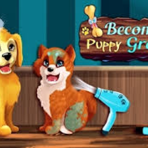 Become A Puppy Groomer