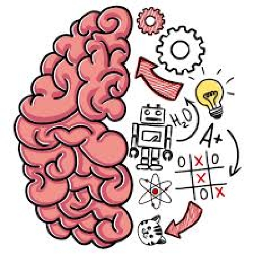 Brain Test Tricky Puzzles