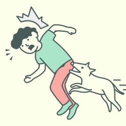Where Is My Cat